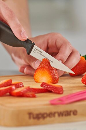 A-Serisi Meyve Bıçağı