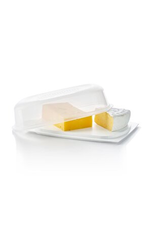 Peynir Dünyası Dikdörtgen