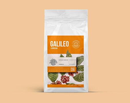 Favorte Galileo Espresso Kahve 200 gr