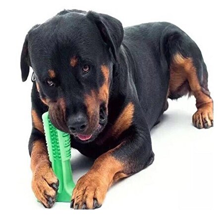 3B Trend Evcil Hayvan Köpek için Diş Fırçası Isırma Aparatı Küçük Boy