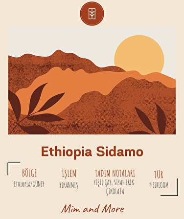 Ethiopia Sidamo Çekirdek Kahve 250GR