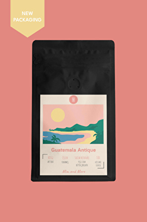 Guatemala Antique Çekirdek Kahve 250GR