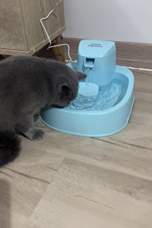 Rozer Aqusafe Otomatik Kedi Köpek Su Pınarı Su Çeşmesi Ultra Sessiz 2,5 Lt Su Şelalesi Kedi Pınarı_Turkuaz