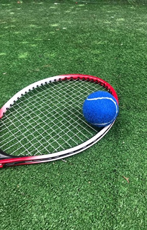 1 Adet Antrenman Tenis Topu Mavi