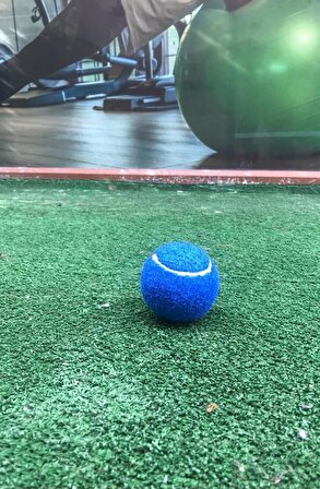 1 Adet Antrenman Tenis Topu Mavi