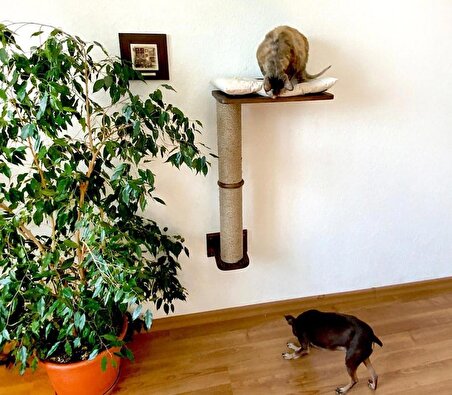 Kedi Tırmalamaları| Doğal Ahşaptan Yapılmış Kedi Aksesuarları | Kedi Oyuncakları | Kedi Duvar Yatağı