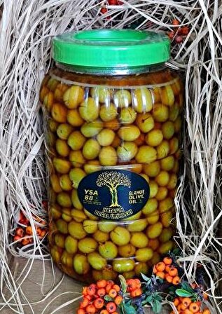Glamor Olive Oil Antakya - Hatay Yeşil Zeytin 2 kg 