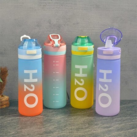 H2O POLİKARBON MATARA 800 ML LİLA