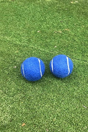 2 Adet Antrenman Tenis Topu Mavi