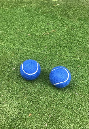 2 Adet Antrenman Tenis Topu Mavi