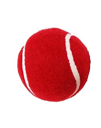 2 Adet Antrenman Tenis Topu Kırmızı