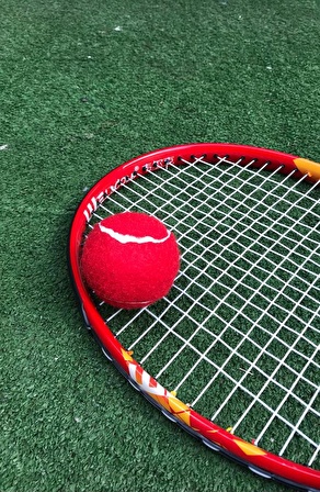 12 Adet Antrenman Tenis Topu Kırmızı