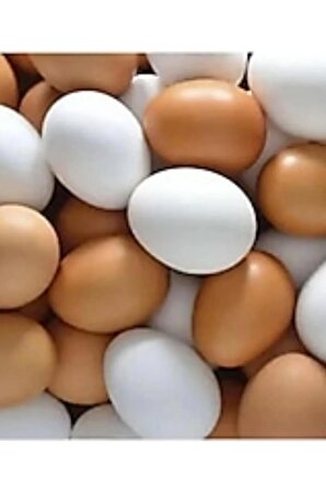 40 adet sahte tavuk yumurtası