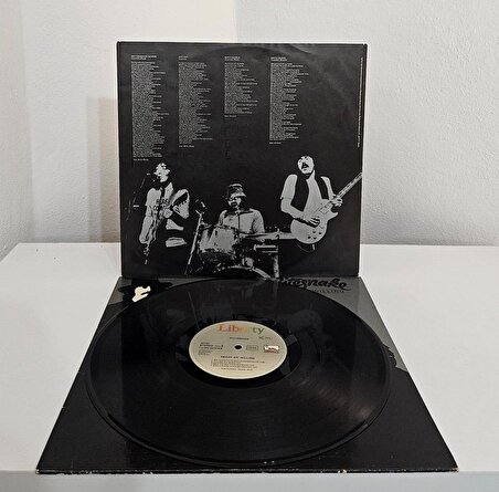 Whitesnake - Ready An' Willing (1980 Almanya, Orijinal İç Zarf)