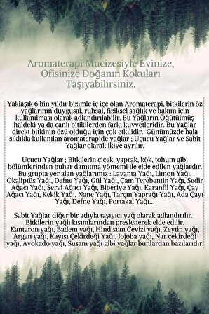 Akne Eğilimli Yüz Cilt Bakım Uçucu Yağ Aromaterapi Set Saf Çay Ağacı Limon Kayısı Çekirdeği Yağı