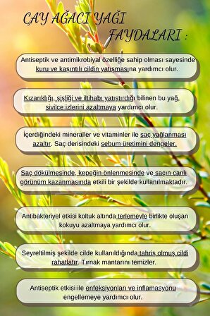 Akne Eğilimli Yüz Cilt Bakım Uçucu Yağ Aromaterapi Set Saf Çay Ağacı Limon Kayısı Çekirdeği Yağı