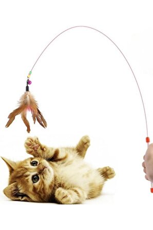 Kedi Oyun Oltası: Kedinizin Eğlencesi İçin Harika Bir Seçenek