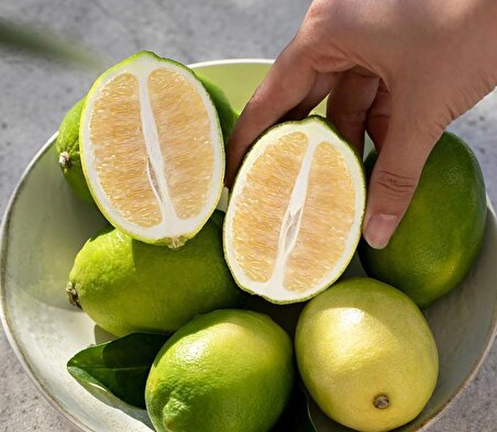 Dalından Taze İlk Hasat Enterdonat Limon 1 kg.