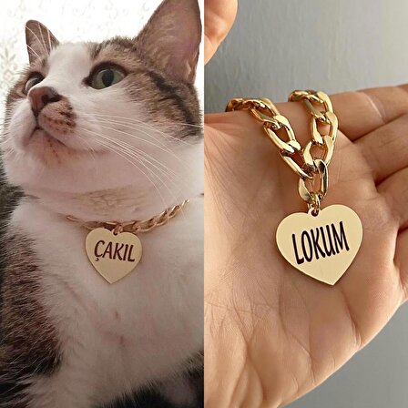 Kedi Tasması Isimli Kedi Tasması Zincirli Tasma Paslanmaz Metal