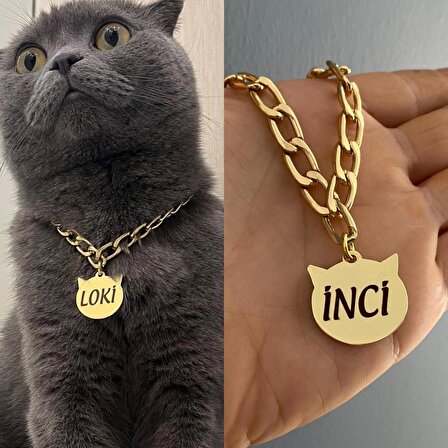 İsimli Kedi Tasması Kararmaz Paslanmaz Metal Isimli Tasma Kedi Künyesi