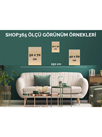 Shop365 Çizgiler Açık Renkler Modern Dekoratif Tablo Çerçeveli P-003032