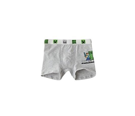 Erkek Çocuk Boxer Set 2li