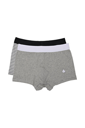 Adam Boxes Boxer Trunk Neo-Cosy 
2'li Paket - Gri Çizgili, Gri