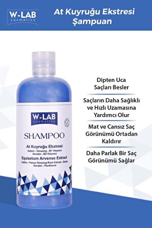 W-Lab Kozmetik Şampuan Ve Saç Bakım Yağı Set