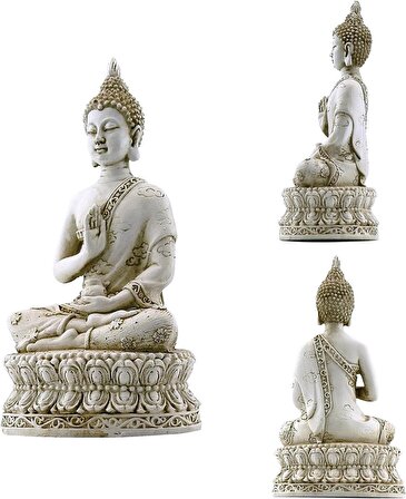 T.Concept Dekoratif Oturan Buddha Heykel Biblosu Kombin Renkli 
