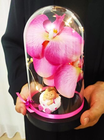 Orkide & Pembe & Fanus & Biblolu Fanus Çiçek & Kalite & Işıklı Yapay
