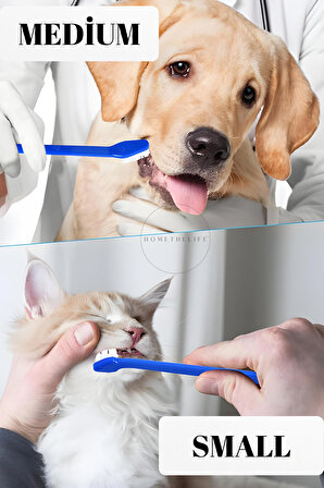 Çift Taraflı Kedi Köpek Diş Fırçası 4'lü Set Ağız Diş Bakım Ürünü