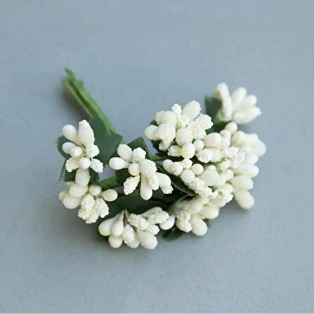 Cipso Pıtırcık Çiçek 144 Adet Beyaz