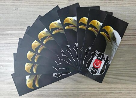 Beşiktaş Temalı 10 Adet Çift Taraflı Kitap Ayracı