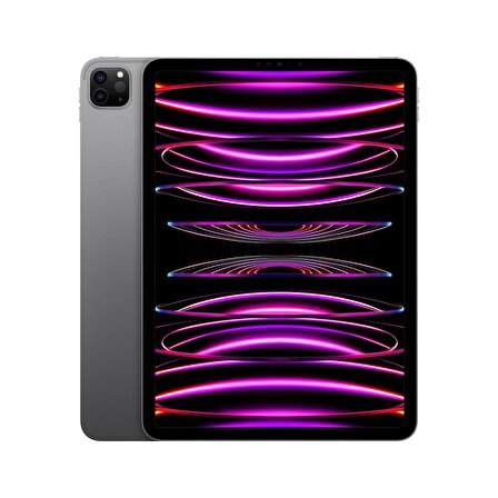 Apple iPad Pro 11 inç (4. Nesil) M2 Wi-Fi 512GB MNXH3TU/A - Uzay Grisi
