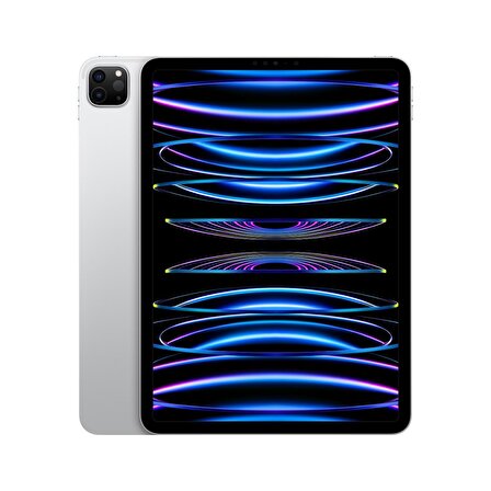 Apple iPad Pro 11 inç (4. Nesil) M2 Wi-Fi 2TB MNXN3TU/A - Gümüş