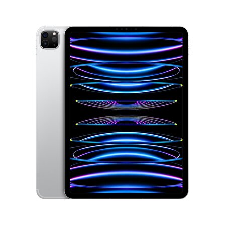 Apple iPad Pro 11 inç (4. Nesil) M2 Wi-Fi + Cellular 1TB MNYK3TU/A - Gümüş