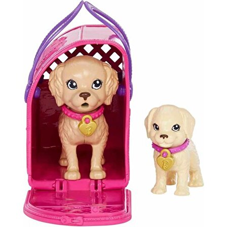 Barbie ve Köpekçikleri Oyun Seti HKD86 Lisanslı Ürün