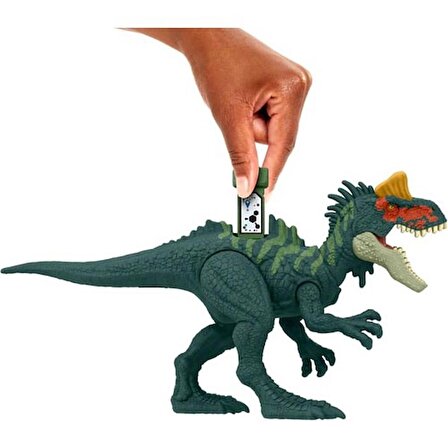 Mattel Jurassic World Dino Trackers Piatnitzkysaurus
