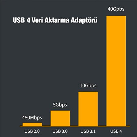 Ally 40Gbps USB 4 Type-C to Type-C Data Dönüştürücü Çevirici Adaptör GÜMÜŞ