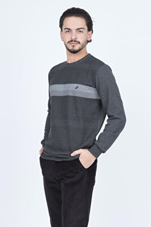 Rey Polo Erkek Bisiklet Yaka Desenli Triko Sweat 6743617 Siyah