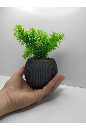 DS- Gri No:1 Saksı Çim Yeşili Yapay Bitki Garnitür Taş Yosunlu 17 Cm Dekoratif Mutfak Masa Çiçeği 