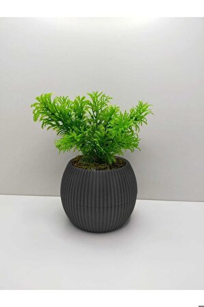 DS- Gri No:1 Saksı Çim Yeşili Yapay Bitki Garnitür Taş Yosunlu 17 Cm Dekoratif Mutfak Masa Çiçeği 