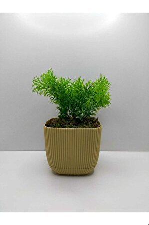 DS- Soft Sarı Kare Saksı Çim Yeşili Yapay Çiçek Bitki Taş Yosunlu Banyo Mutfak Masa Çiçeği No:1 