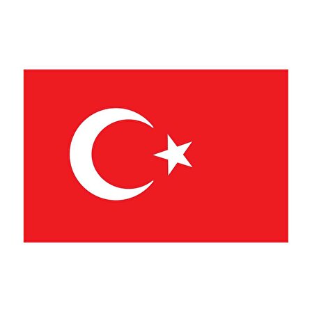 Saray Türk Bayrağı  20X30