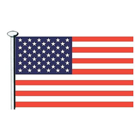 Saray Amerika Bayrağı 30X45