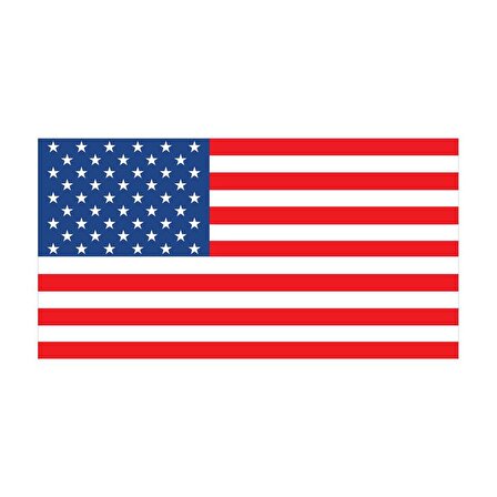 Saray Amerika Bayrağı 50X75
