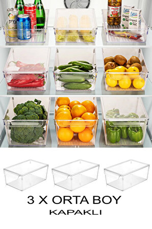 Buzdolabı Organizer Düzenleyici Şeffaf 3 Adet Orta Boy Sebze Meyve Saklama Kabı Kapaklı