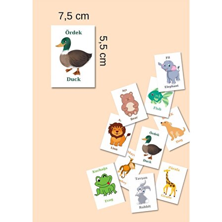 Zeka Kartları Eşleştirme Oyunu Ahşap Hafıza Kartı Oyunu Eğitici Puzzle Oyunları