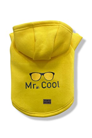 Köpek Kıyafeti Köpek Sweatshirt Hoodie Köpek Ürünleri Kedi Kıyafeti - Mr. Cool