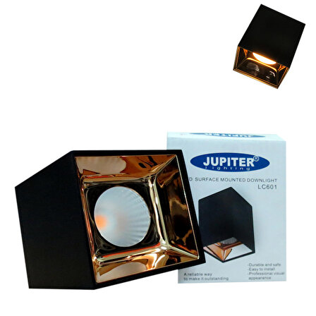 Jüpiter S.Ü. Siyah ve Altın Led Tavan Armatürü 3000K LC601SA